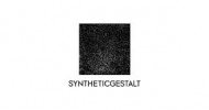 SyntheticGestalt