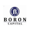 Borun Capital